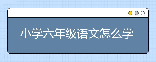 小学六年级语文怎么学？怎么复习？怎么辅导？