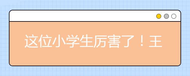 这位小学生厉害了！王安石、陆游、李清照在他笔下另一番作为