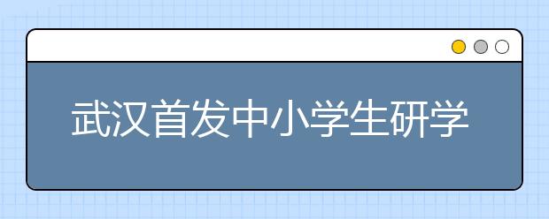 武漢首發(fā)中小學生研學旅行系列標準 避免“只旅不學”等現(xiàn)象