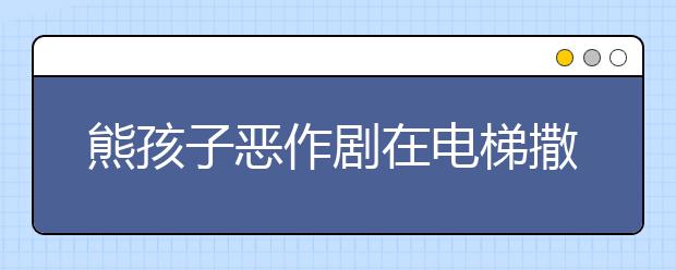 熊孩子惡作劇在電梯撒尿 虎媽道歉并懲罰孩子打掃電梯