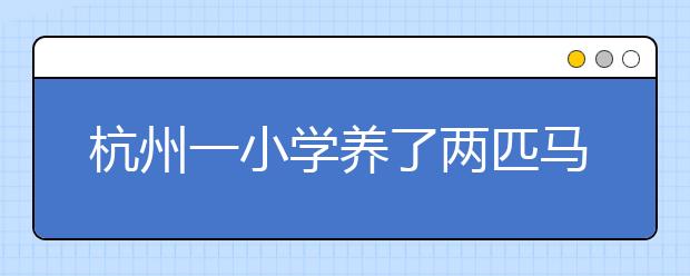 杭州一小學(xué)養(yǎng)了兩匹馬 學(xué)生通過社會(huì)實(shí)踐籌集馬糧