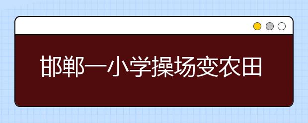 邯郸一小学操场变农田 回应：基本农田必须复耕