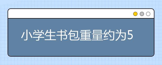 小學生書包重量約為5公斤 如何給孩子的書包減負待思考