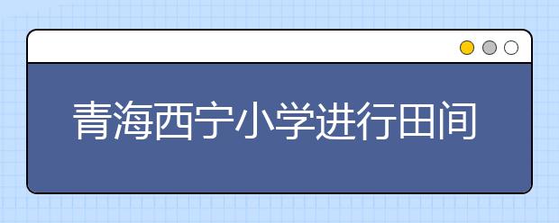 青海西寧小學(xué)進(jìn)行田間勞動(dòng) 告別小學(xué)生活