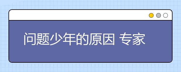 問題少年的原因 專家：家庭環(huán)境有問題