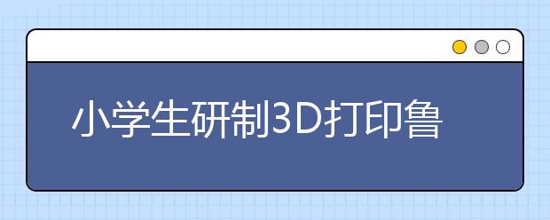 小学生研制3D打印鲁班锁 获外观设计专利