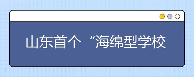 山东首个“海绵型学校”投入使用 “海绵城市”理念引入校园
