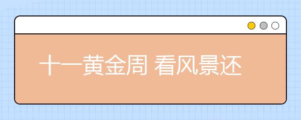 十一黃金周 看風(fēng)景還是看手機(jī)？西湖景區(qū)4G流量較日常增長(zhǎng)207%