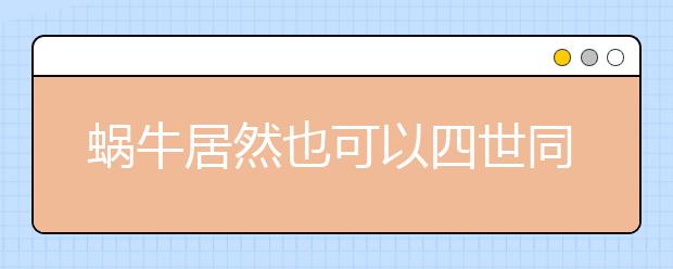 蜗牛居然也可以四世同堂 看小学生是如何成为“蜗牛达人”