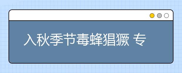 入秋季节毒蜂猖獗 专家建议：被毒蜂蜇伤严重者应立即就医