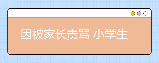 因被家长责骂 小学生逃学失踪