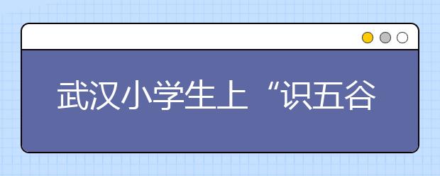 武汉小学生上“识五谷”实践课 感受“粒粒皆辛苦”