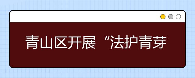 青山區(qū)開展“法護青芽”普法活動 增強小學生法制意識