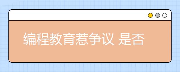 編程教育惹爭(zhēng)議 是否在培養(yǎng)碼農(nóng)看專(zhuān)家怎么說(shuō)？