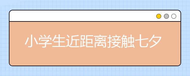 小学生近距离接触七夕贡案非遗项目