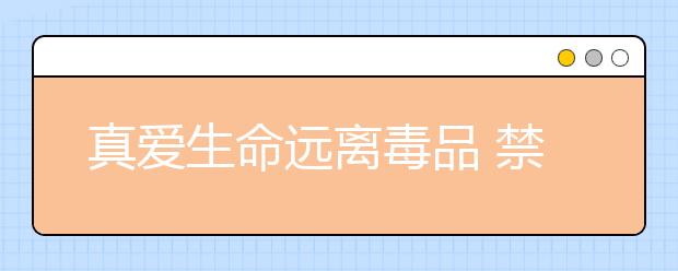 真愛(ài)生命遠(yuǎn)離毒品 禁毒宣傳進(jìn)校園