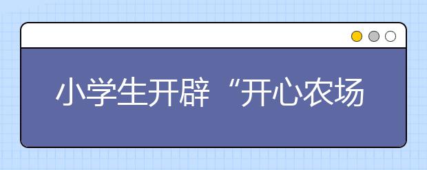 小学生开辟“开心农场” 志愿帮扶社区孤寡老人