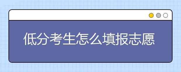 低分考生怎么填报志愿？六大低分高就机会推荐给你！