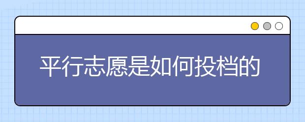 平行志愿是如何投档的？填报平行志愿主要有哪些技巧？