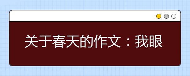 關(guān)于春天的作文：我眼中的春風(fēng)