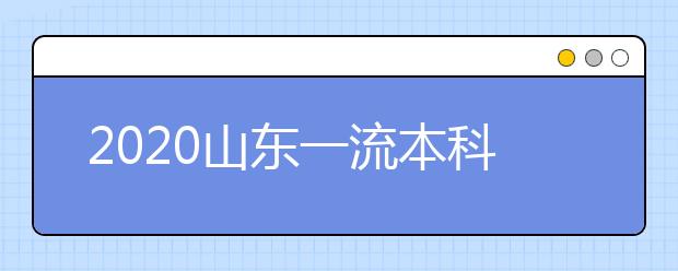 2020山东一流本科专业建设点推荐名单发布