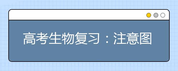 高考生物復(fù)習(xí)：注意圖表的整理