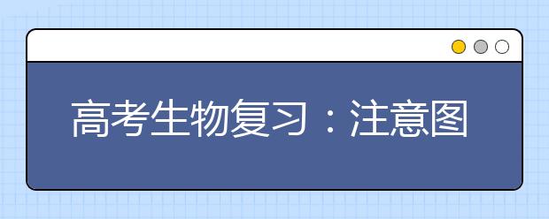 高考生物復(fù)習(xí)：注意圖表的整理