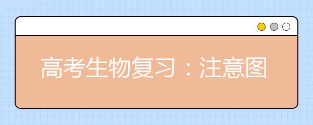 高考生物復(fù)習(xí)：注意圖表的整理