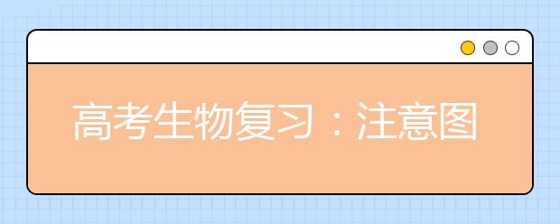 高考生物復(fù)習(xí)：注意圖表的整理