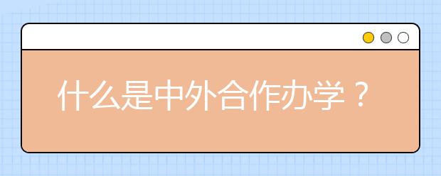 什么是中外合作办学？