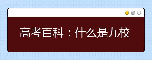高考百科：什么是九校联盟（C9）