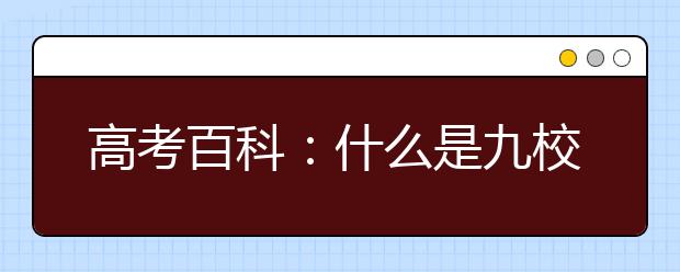 高考百科：什么是九校聯(lián)盟（C9）