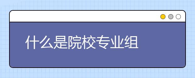 什么是院校专业组