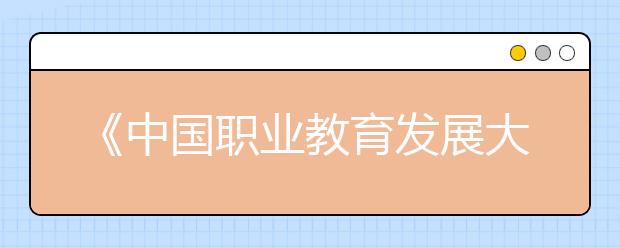 《中國職業(yè)教育發(fā)展大型問卷調查報告》發(fā)布