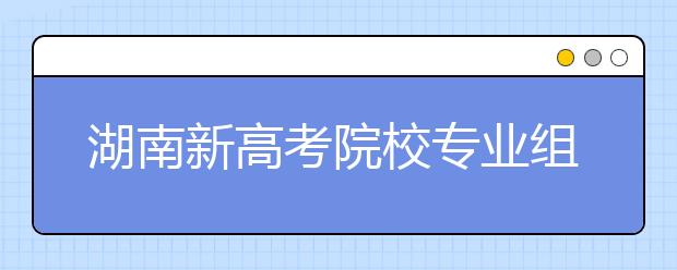 湖南新高考院校专业组平行志愿投档规则？