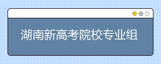 湖南新高考院校专业组平行志愿投档规则？