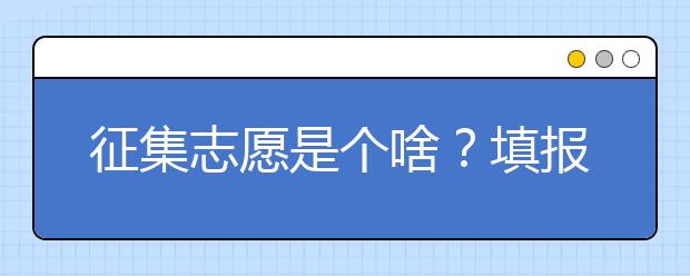 征集志愿是个啥？填报时注意哪些？