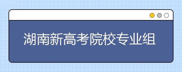 湖南新高考院校专业组平行志愿投档规则？