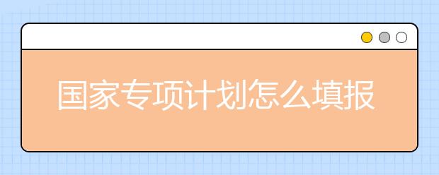 国家专项计划怎么填报？