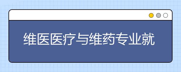 維醫(yī)醫(yī)療與維藥專業(yè)就業(yè)方向有哪些？