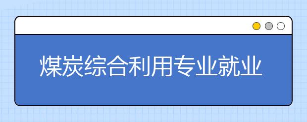 煤炭综合利用专业就业方向有哪些？