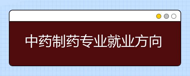 中药制药专业就业方向有哪些？