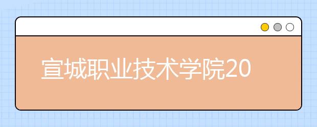 宣城職業(yè)技術(shù)學(xué)院2021年招生辦聯(lián)系電話