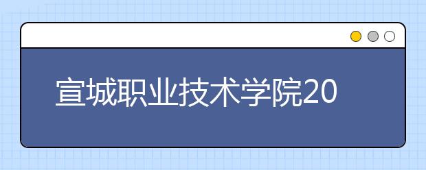 宣城職業(yè)技術(shù)學院2021年招生計劃