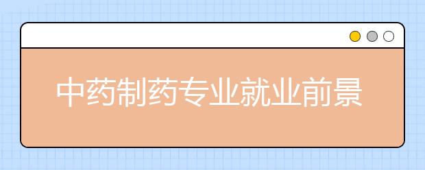 中藥制藥專業(yè)就業(yè)前景分析