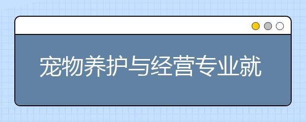 宠物养护与经营专业就业前景分析