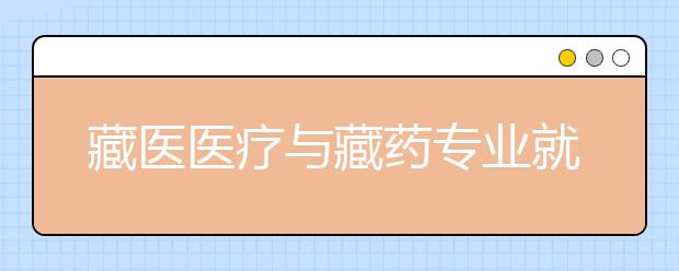 藏醫(yī)醫(yī)療與藏藥專業(yè)就業(yè)前景分析