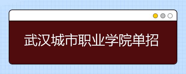 武汉城市职业学院单招2020年单独招生报名时间、网址入口