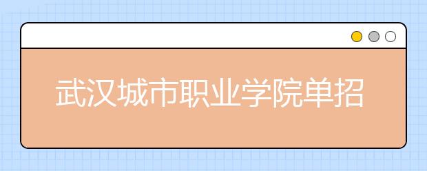 武汉城市职业学院单招2020年单独招生成绩查询、网址入口