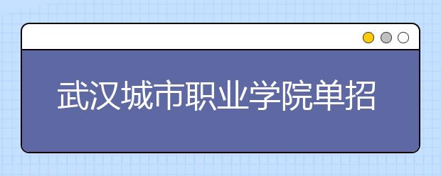 武汉城市职业学院单招2020年单独招生计划